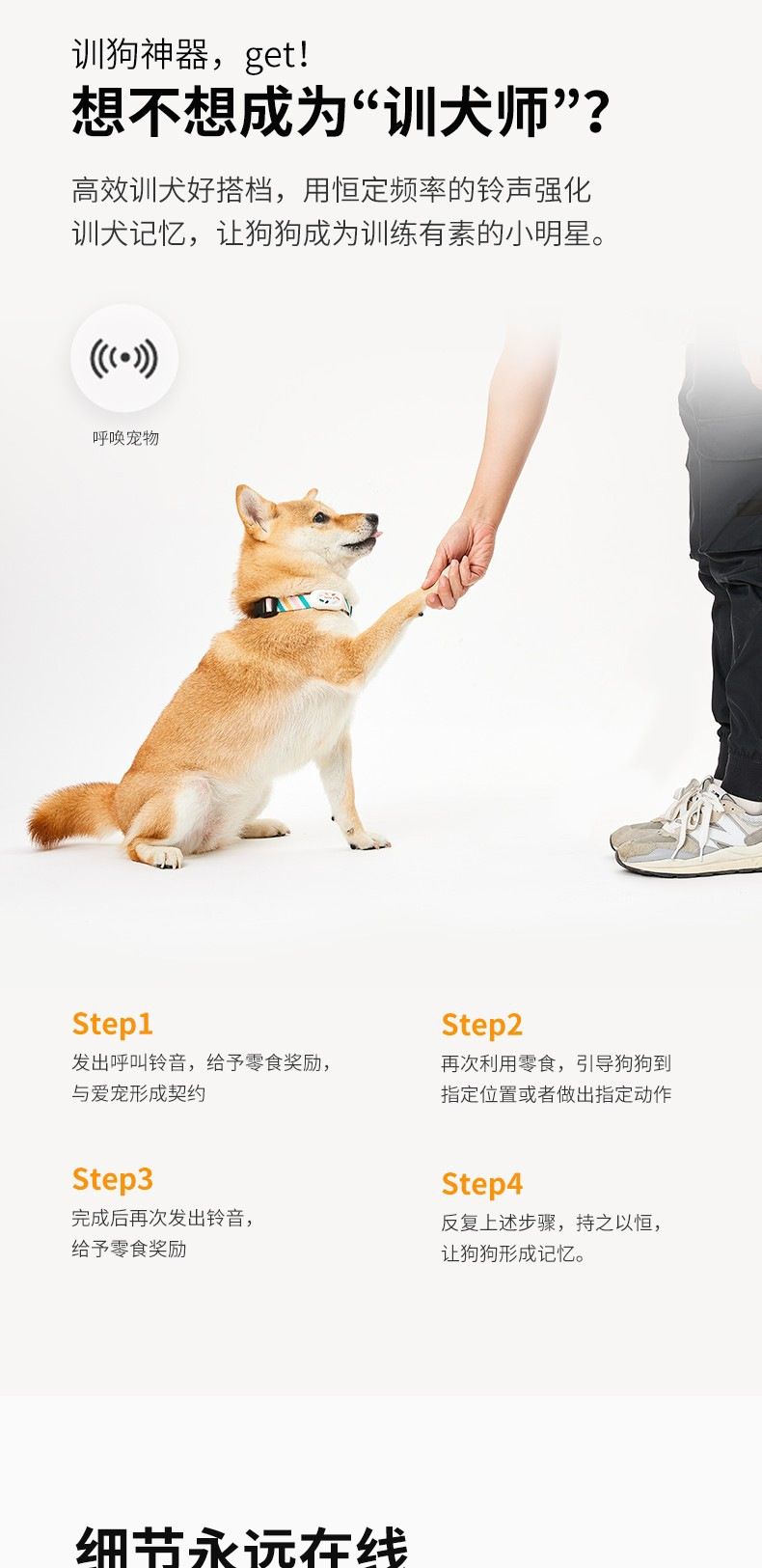 详情图5